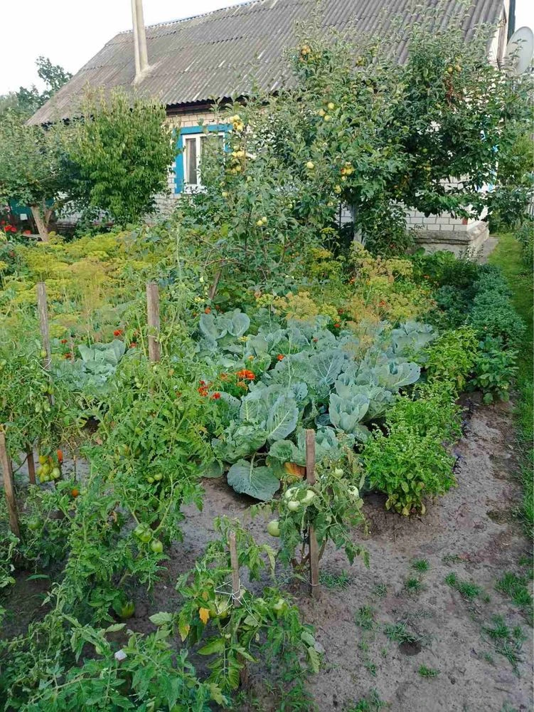 Продається будинок в м.Новгород-Сіверський