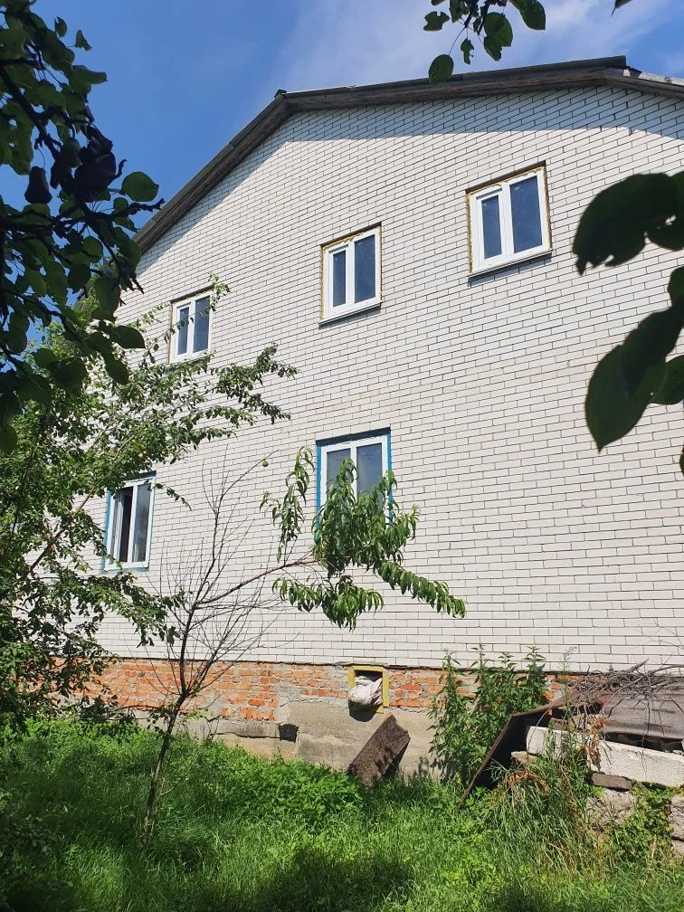 Будинок, Подвір'я,  Дворище