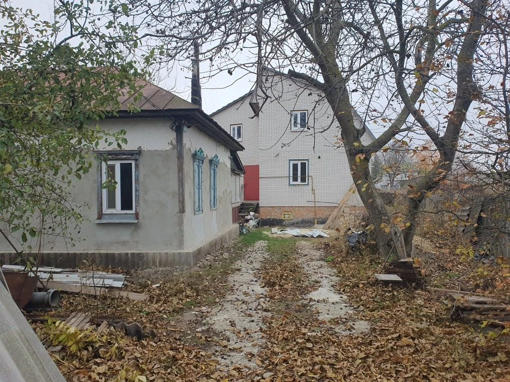 Будинок, Подвір'я,  Дворище