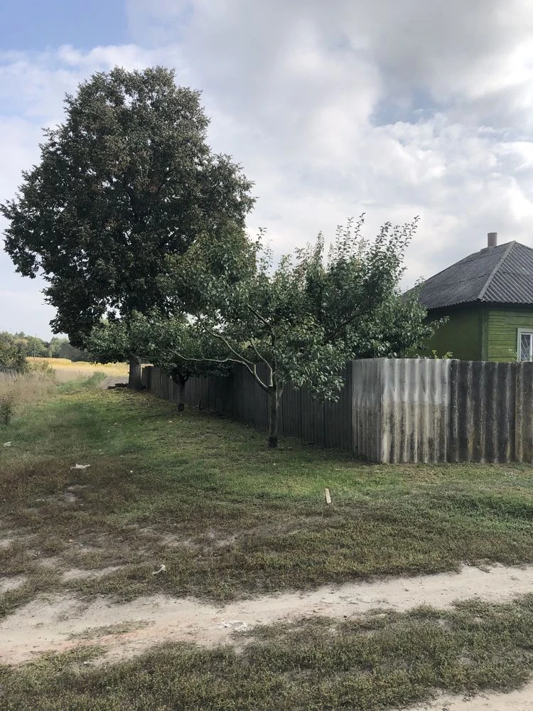 Дворище,с.Пирогівці,Прилуцького р-ну