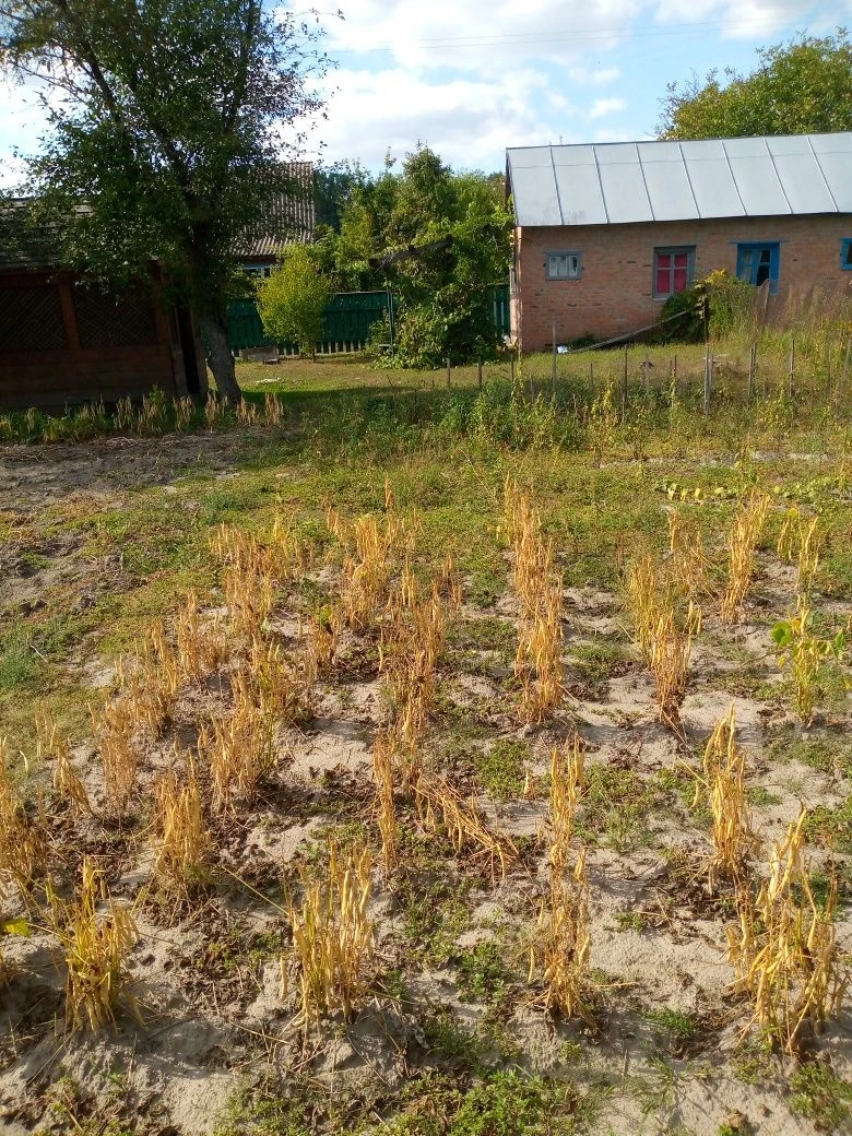 продам дачу поруч з Прилуками.