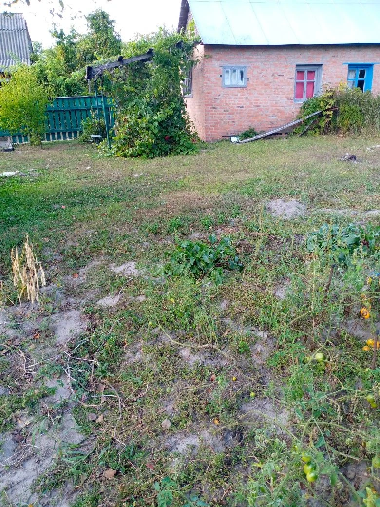 продам дачу поруч з Прилуками.