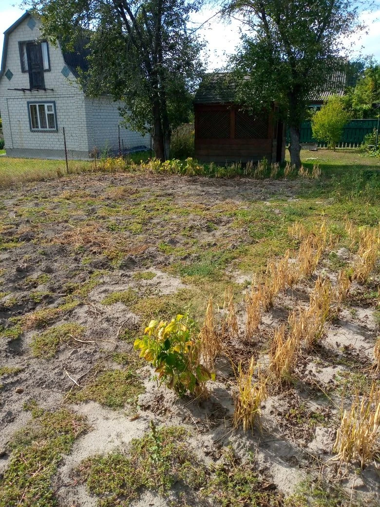 продам дачу поруч з Прилуками.
