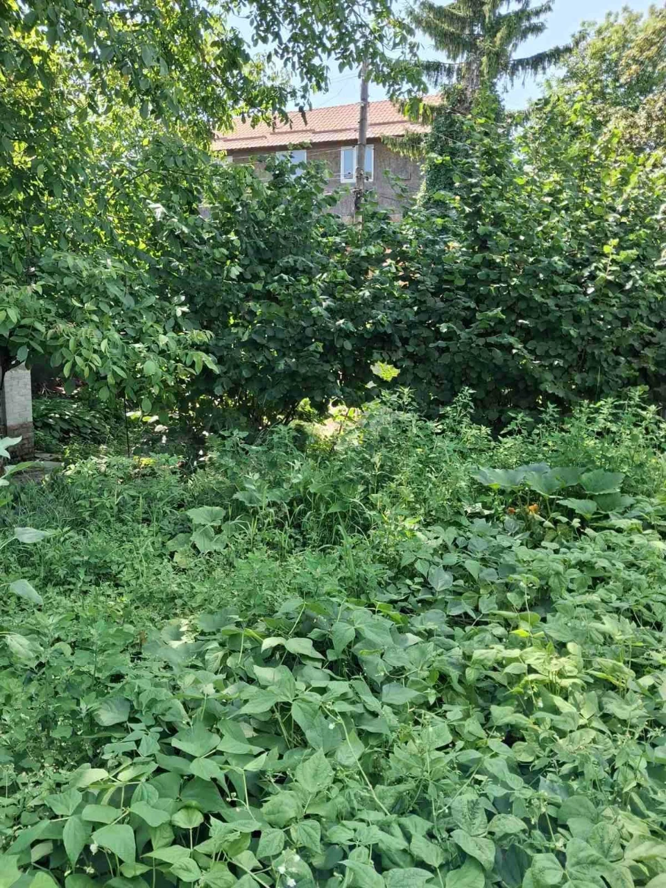 Терміново! Продам будинок в центрі міста