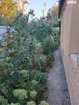 Продаж Дім