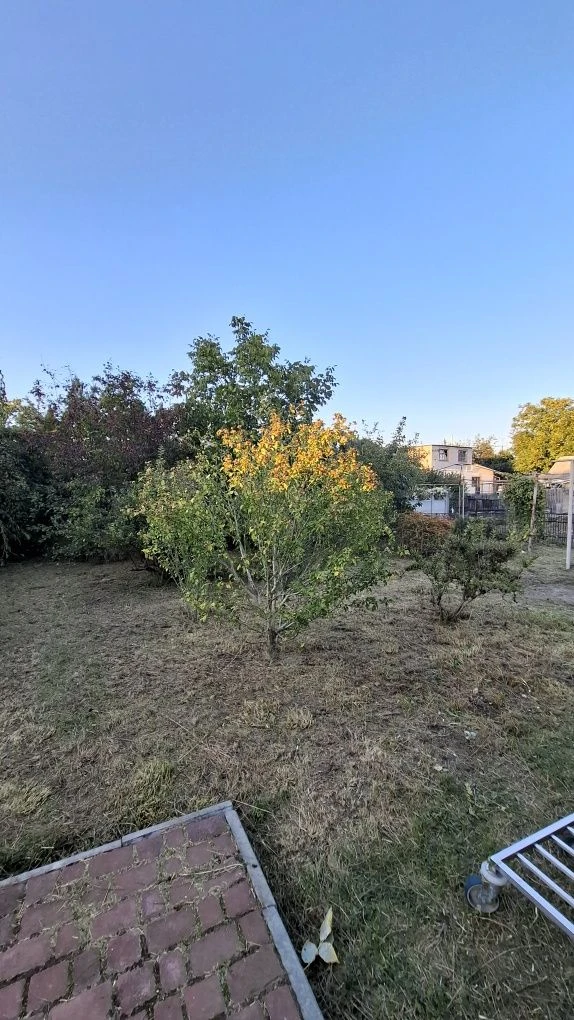 Продам будинок Реївка