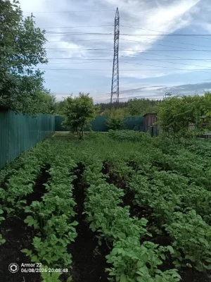 Продам дачу возле кременчуга  Знаходиться в садовом товарист