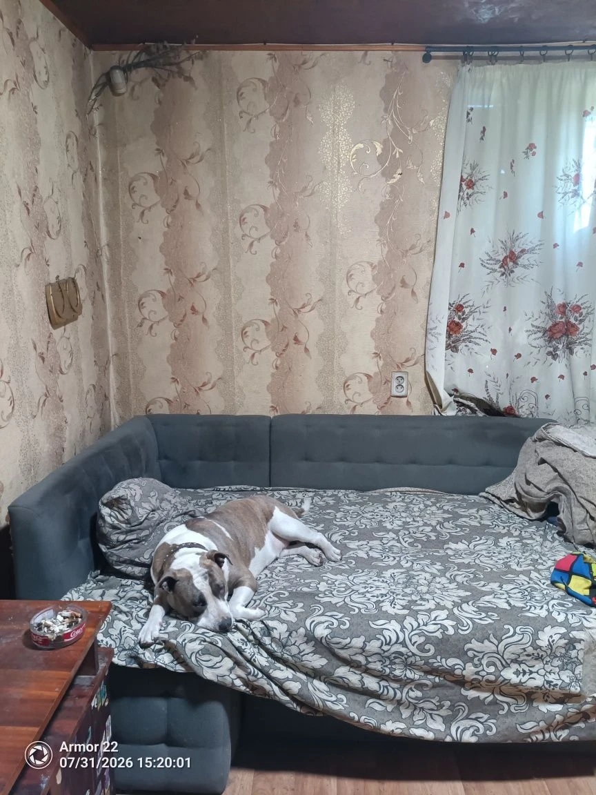 Продам дачу возле кременчуга  Знаходиться в садовом товарист