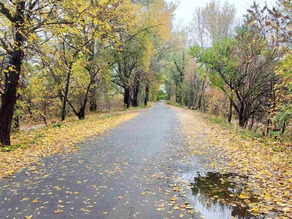 Будинок. Кременчук, Полковника Гегечкорі вул.