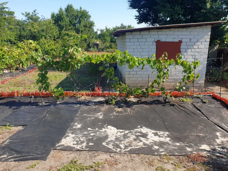 Продаётся дача на берегу реки Днепр.