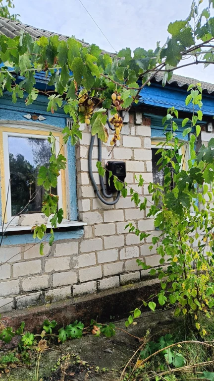 Продам дом - дачу.