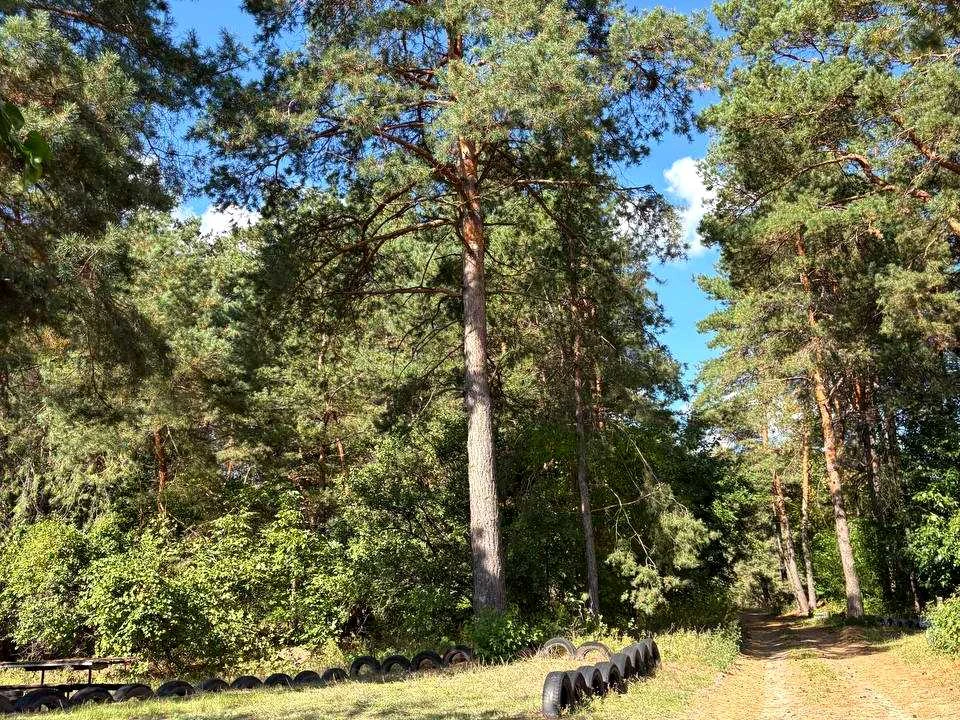 Будинок. Кременчук, Весна