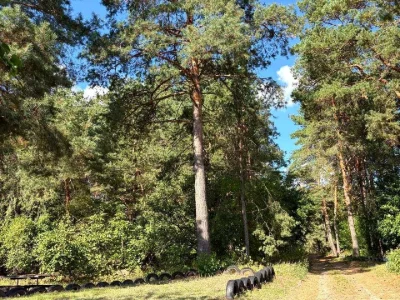 Будинок. Кременчук, Весна