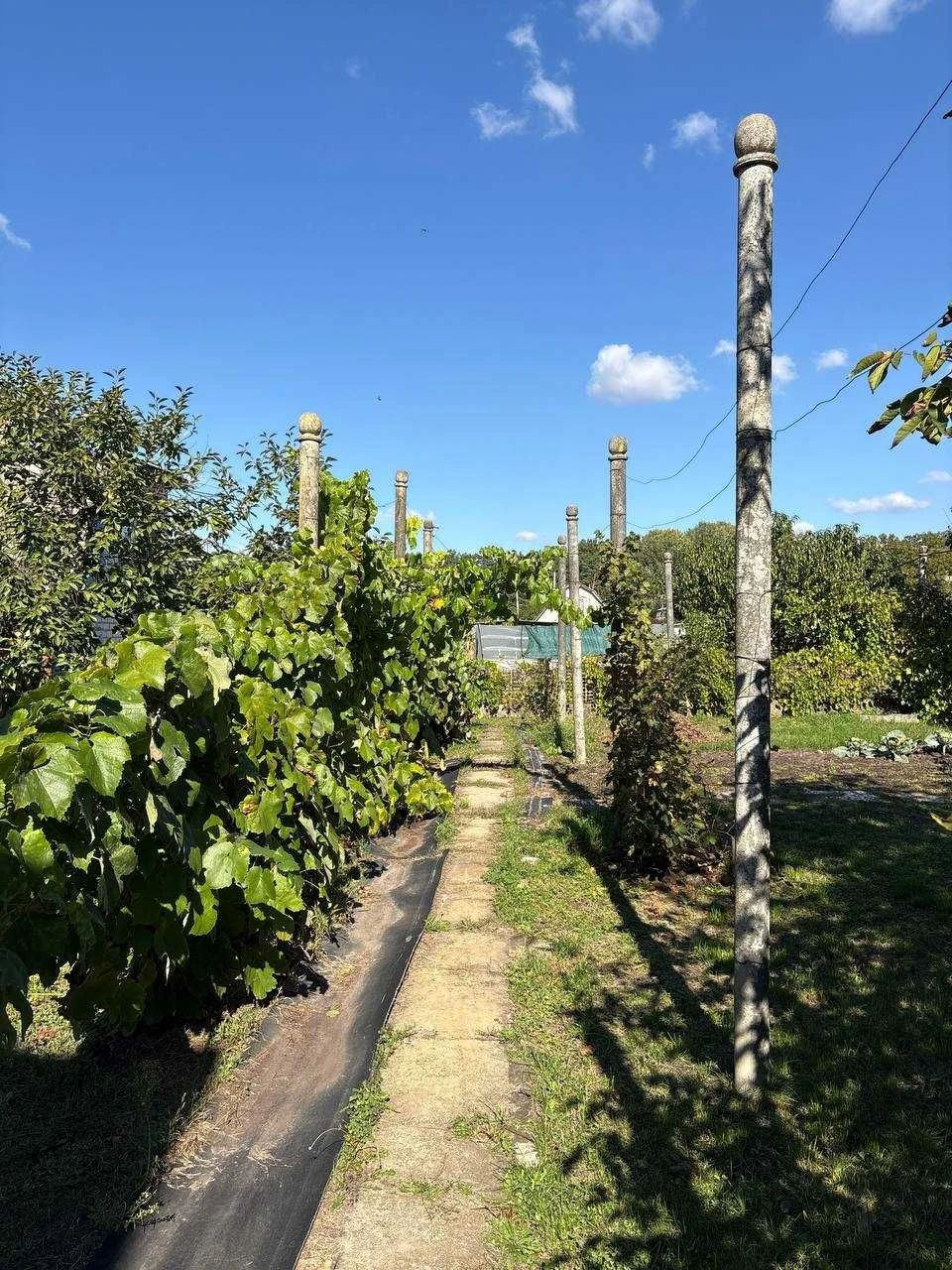 Продам цегляну двоповерхову дачу, 10 соток.