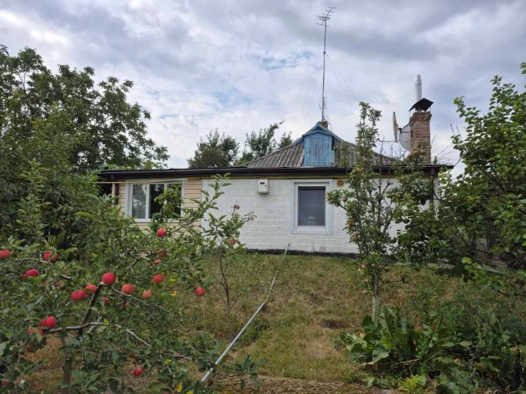 ПРОДАМ будинок Кременчук( 2-Занасип)