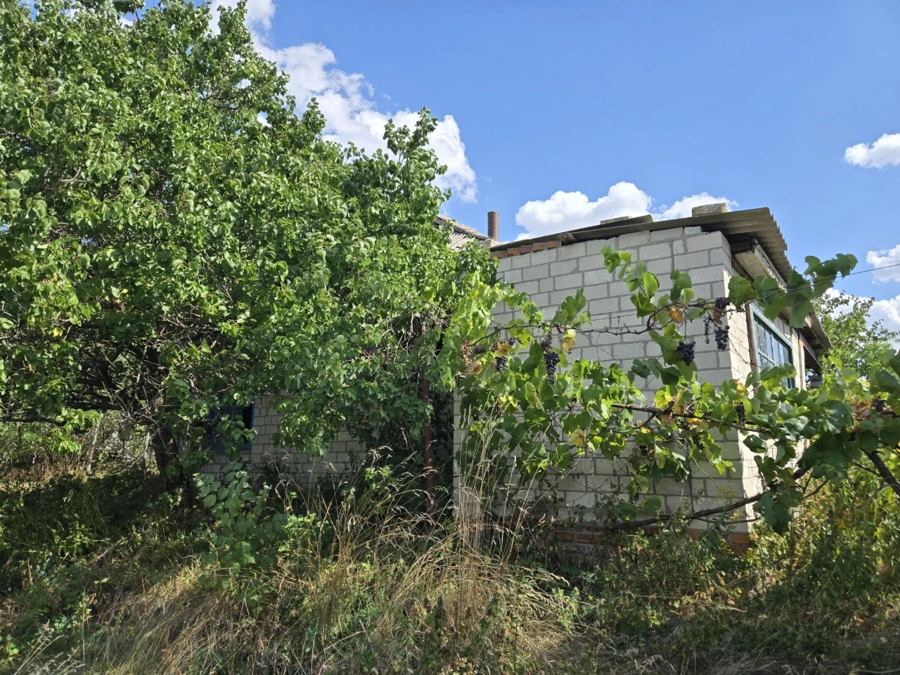 Дом с. Писки 30 км от Кременчуга