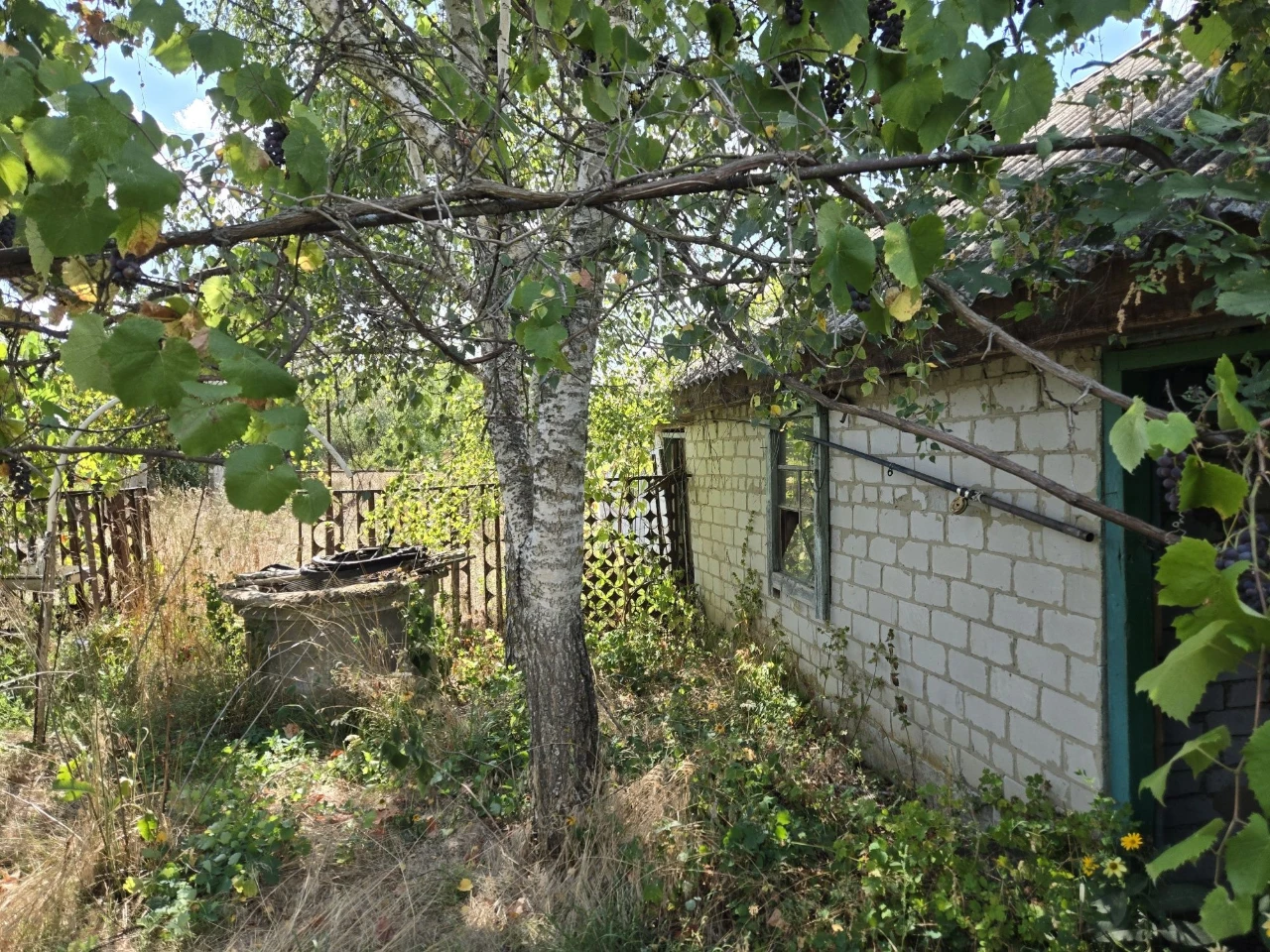 Дом с. Писки 30 км от Кременчуга