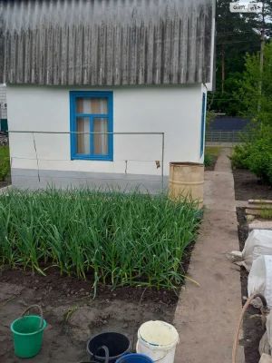 Продаж Дім