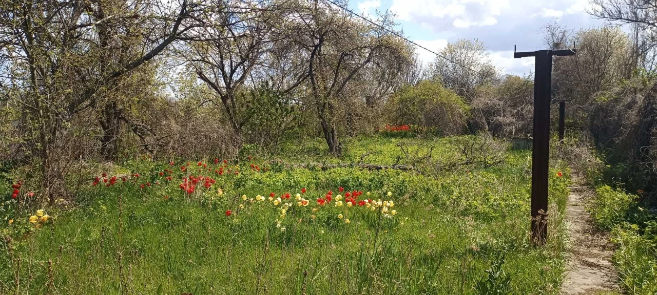 Продається будинок в с.Білецківка.