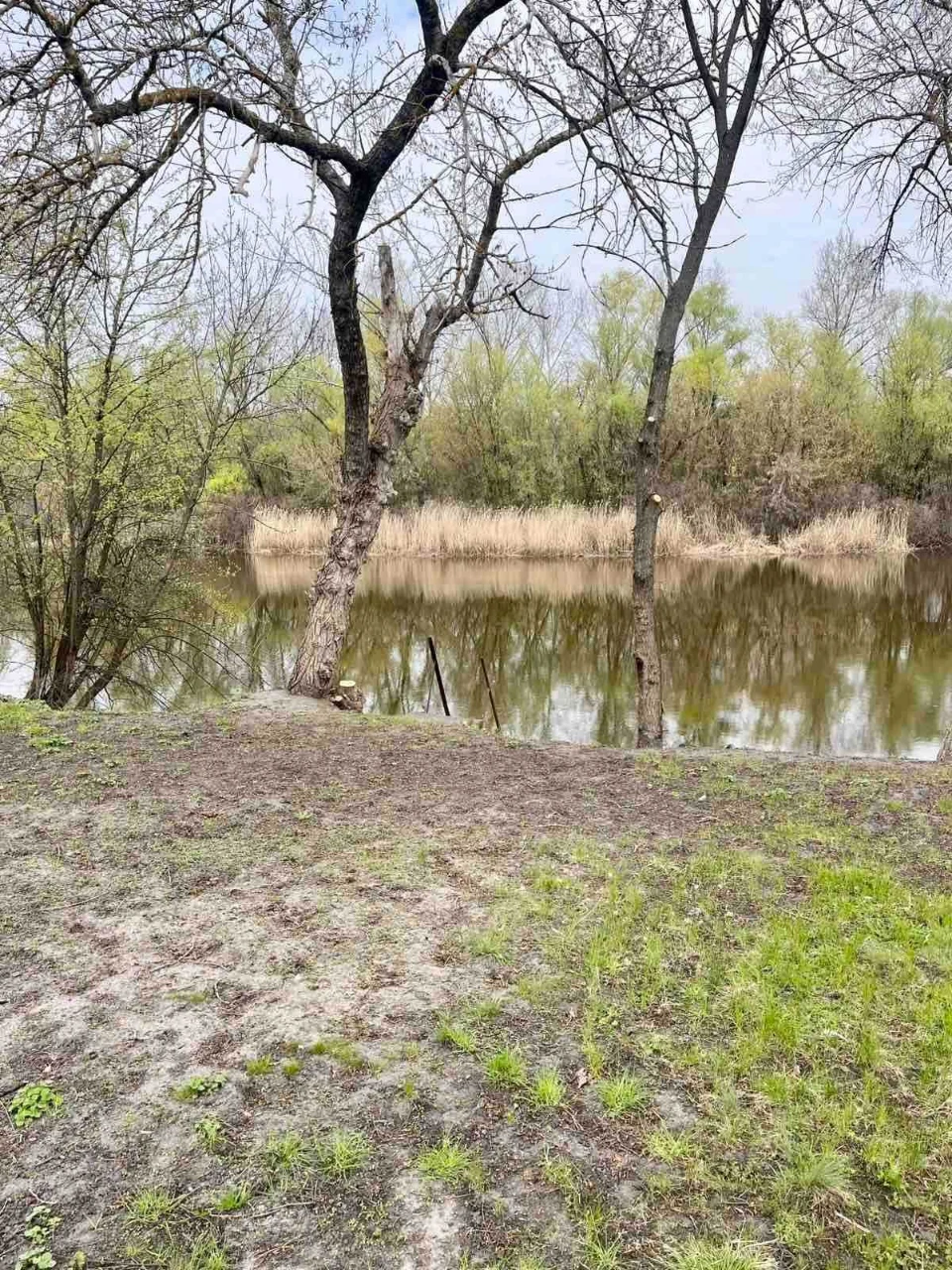 Продам будинок з прямим виходом до р. Псел, с. Кияшки Кремен