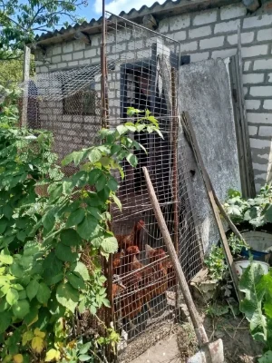 Дача с.Щербаки/р.Псьол