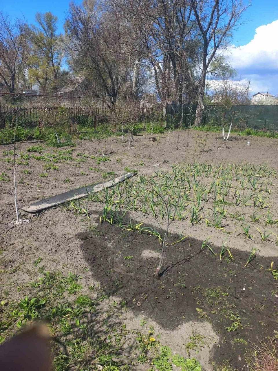 Продаж 2-х поверхової дачі біля затоки Дніпра на Садах-2, см