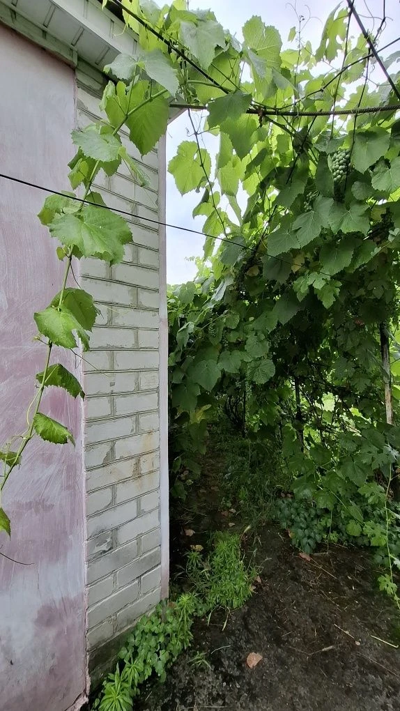 Продам будинок і землю Крюків зуп Кіровоградська СЕРТИФІКАТ
