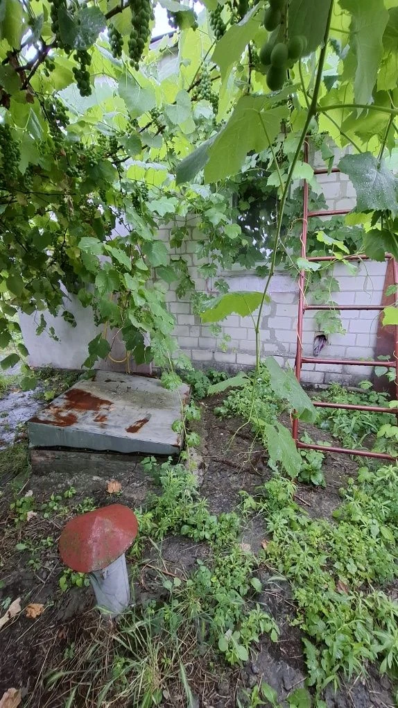 Продам будинок і землю Крюків зуп Кіровоградська СЕРТИФІКАТ