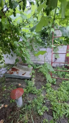 Продам будинок і землю Крюків зуп Кіровоградська СЕРТИФІКАТ