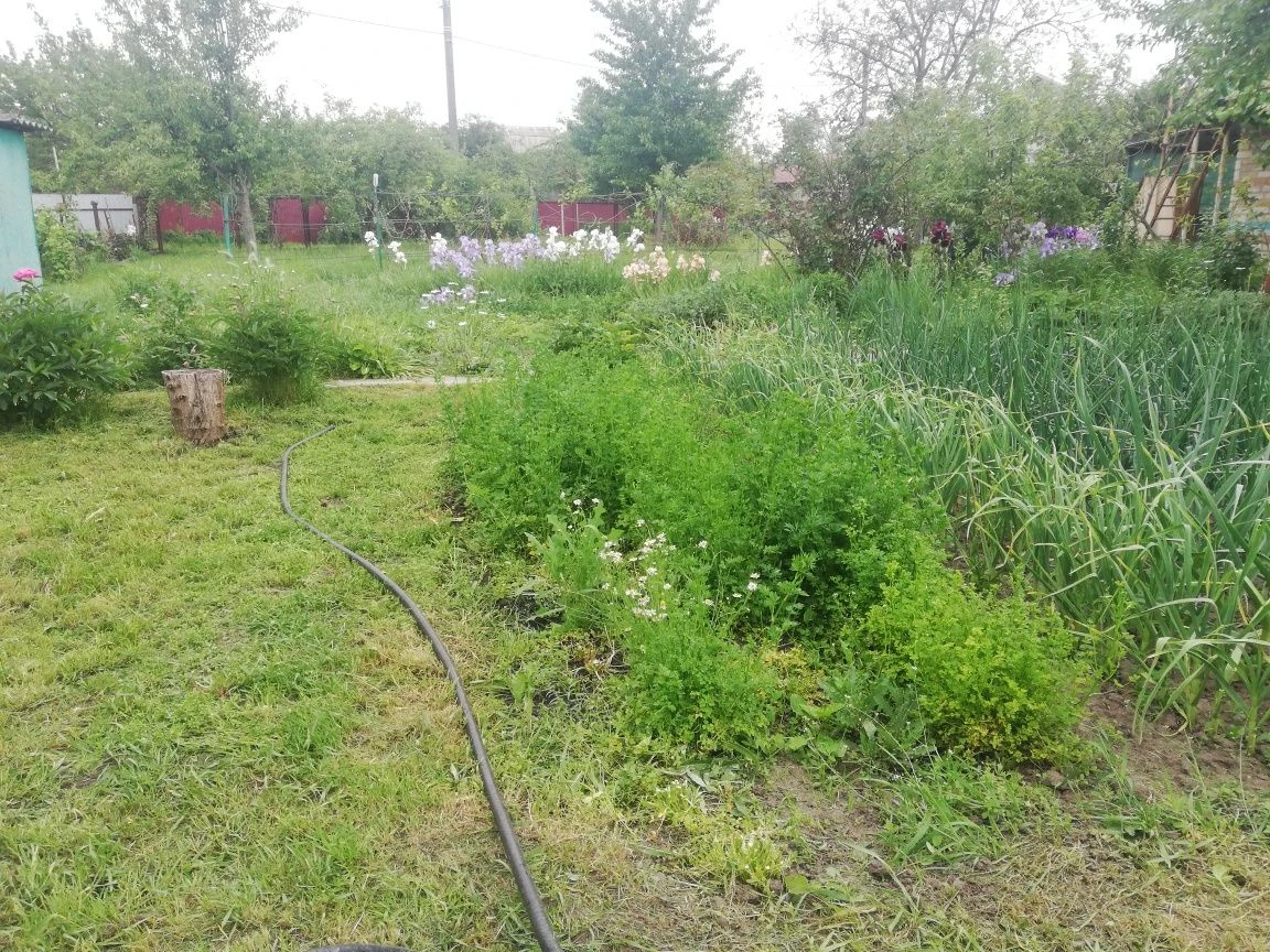 Дача з цегляним будинким кооператив Озон Велика Кохнівка