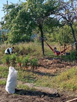 Дача з цегляним будинким кооператив Озон Велика Кохнівка
