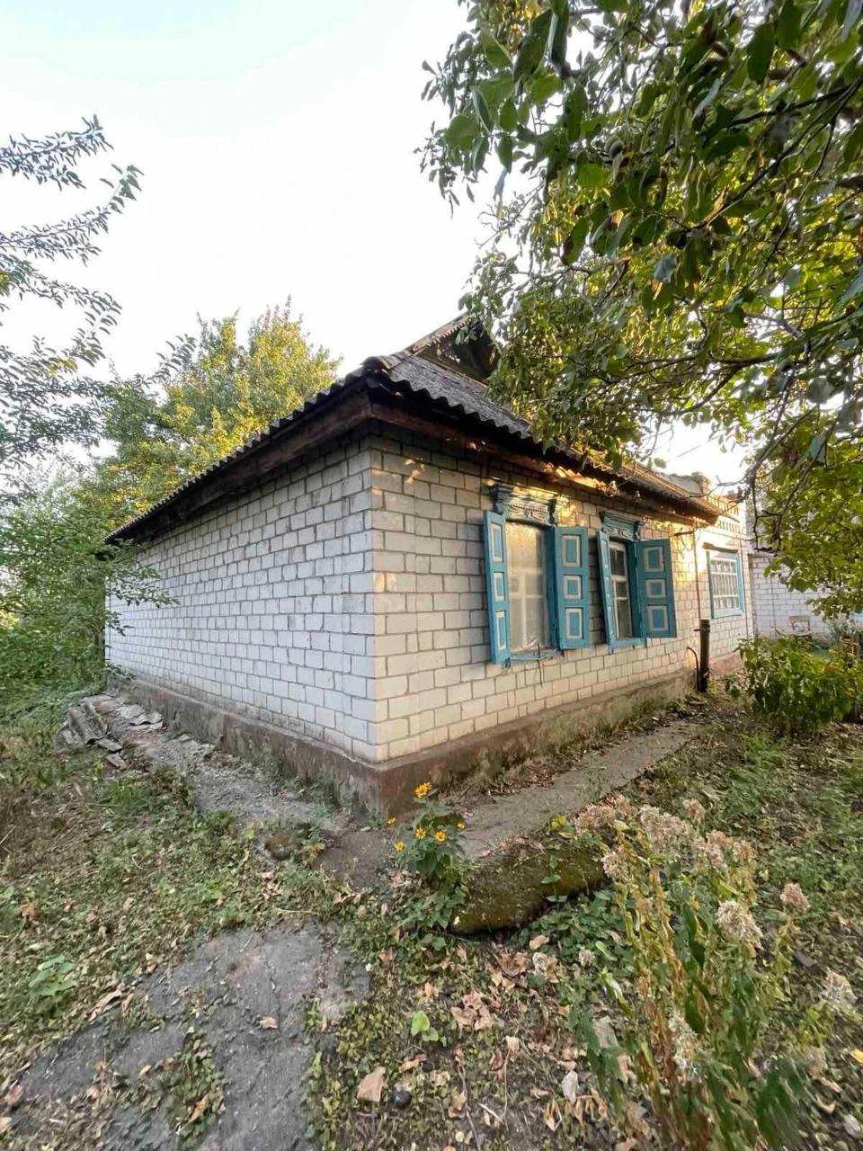 Продам будинок, Терешківка, вул. Космонавтів 55