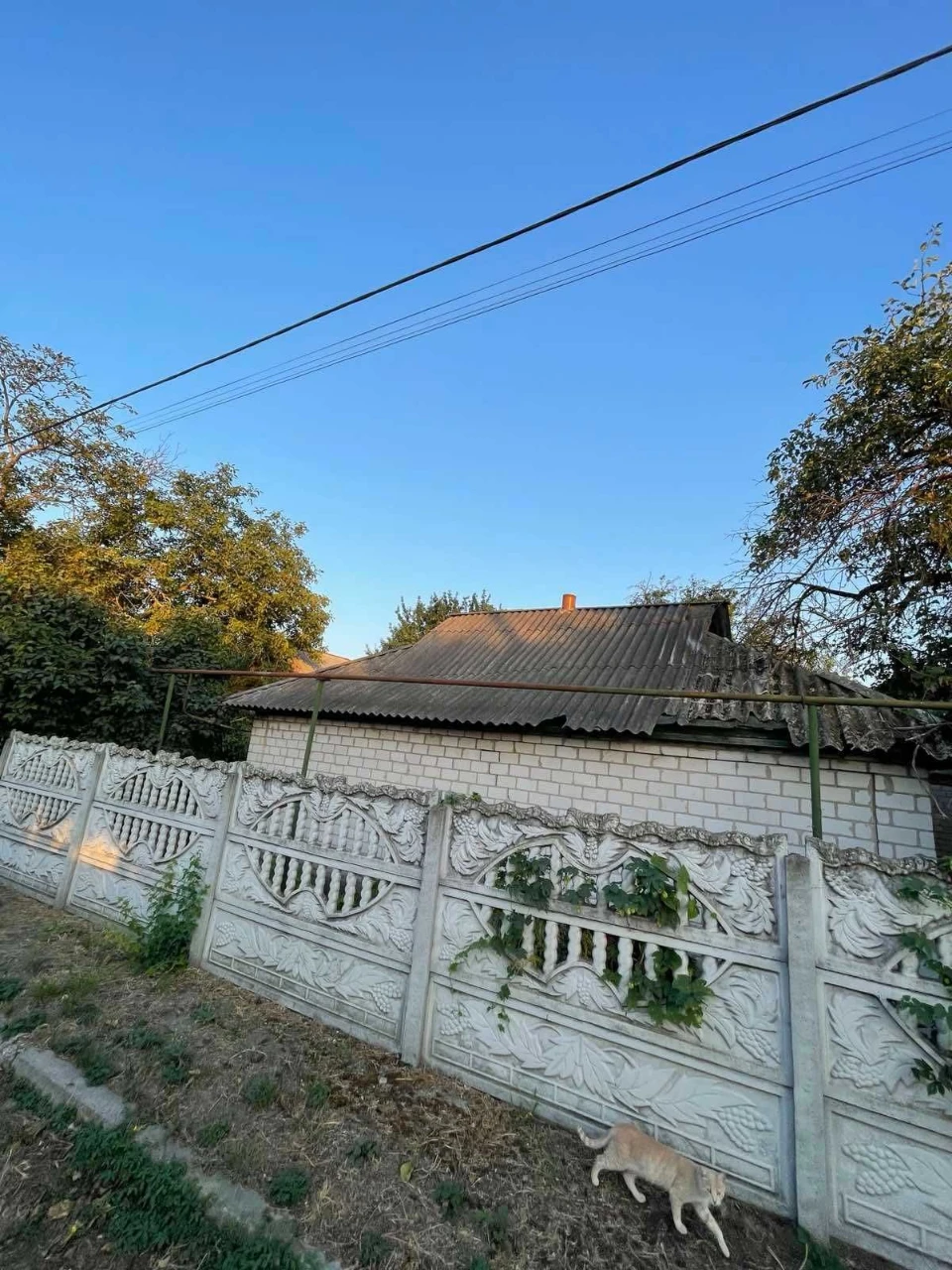 Продам будинок, Терешківка, вул. Космонавтів 55