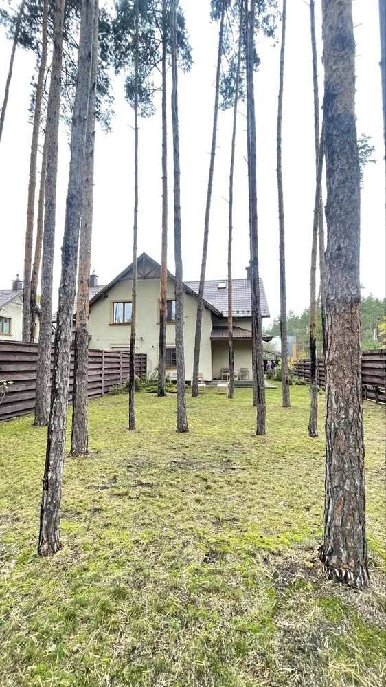 Дуплекс в лісовій частині Бучі