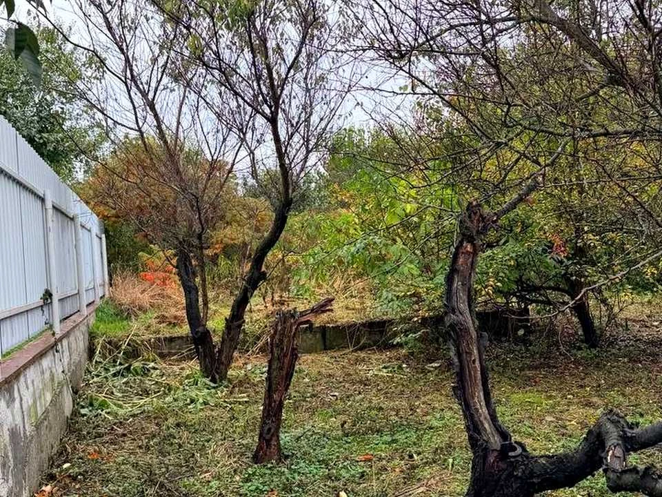 Будинок. Буча, Яблунська вул.