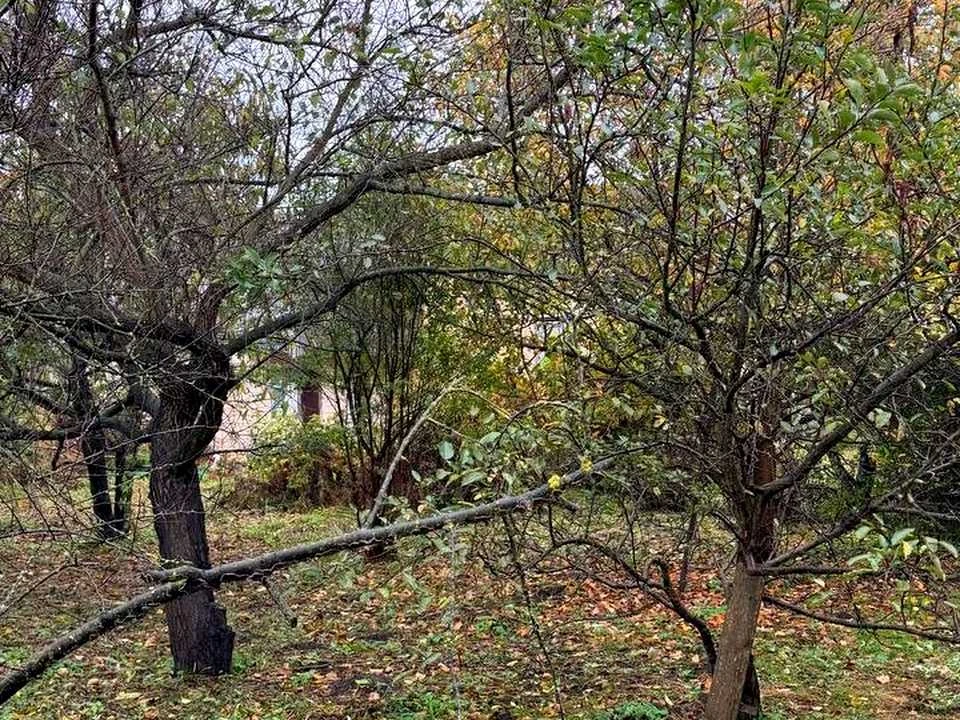 Будинок. Буча, Яблунська вул.