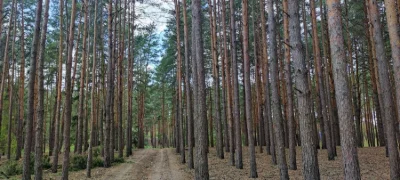 Дуплекс в котеджному містечку з газом та терасою. Поруч парк