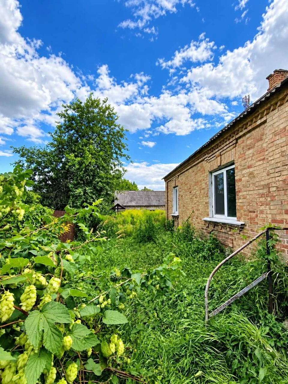 Продам будинок м. Буча вул. Яблунська, велика ділянка 10 сот