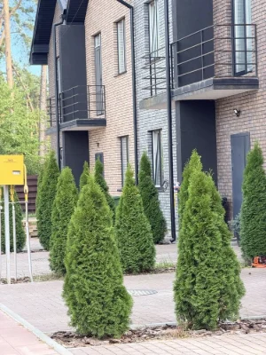 Продаж таунхауса з ремонтом Лісова Буча