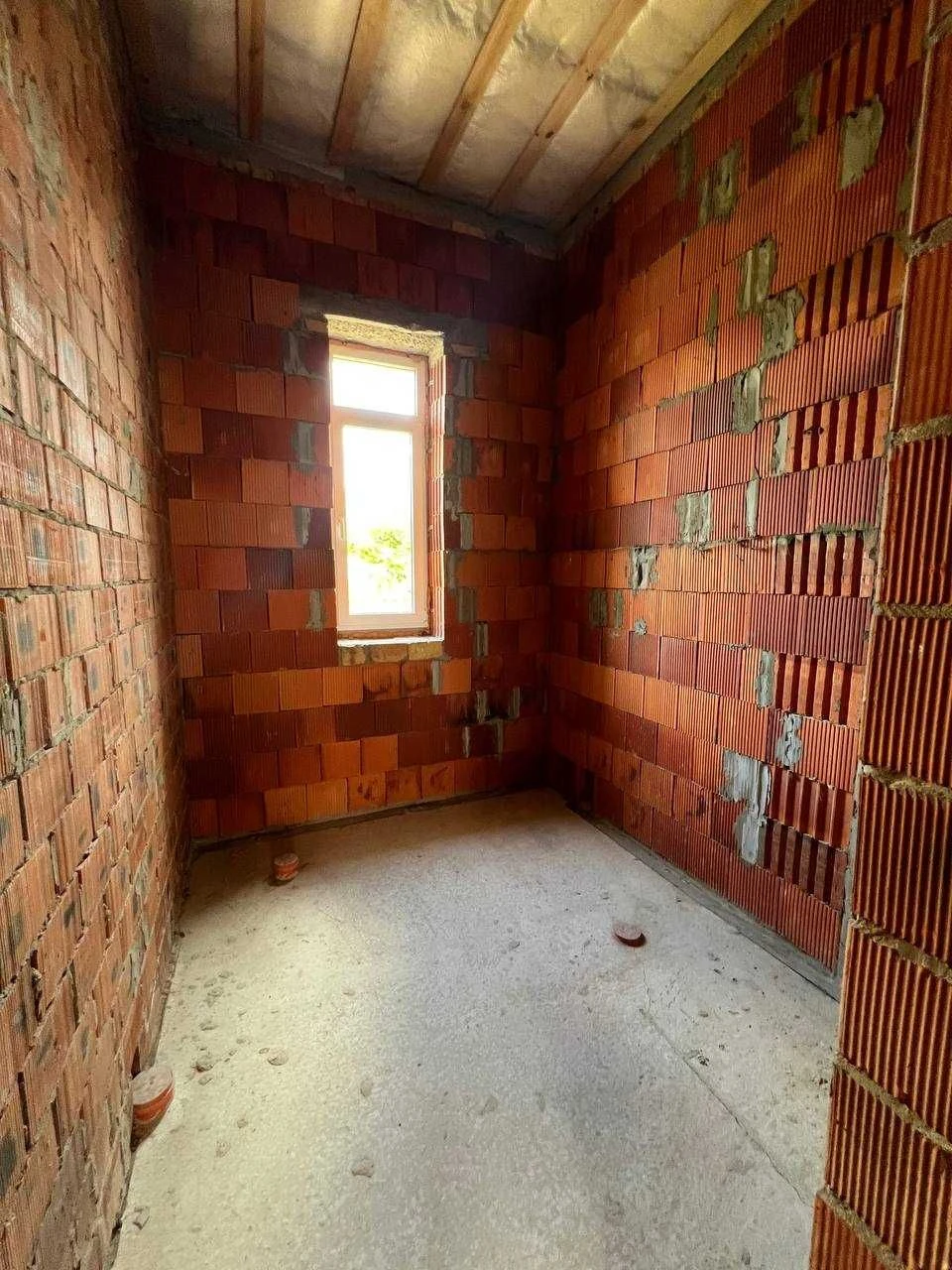Продам будинок 250 м² у Лісовій Бучі, 12 соток.