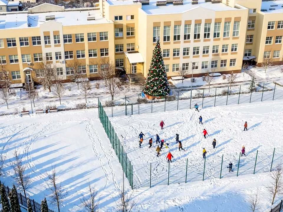 Будинок. Буча, Вишнева вул.