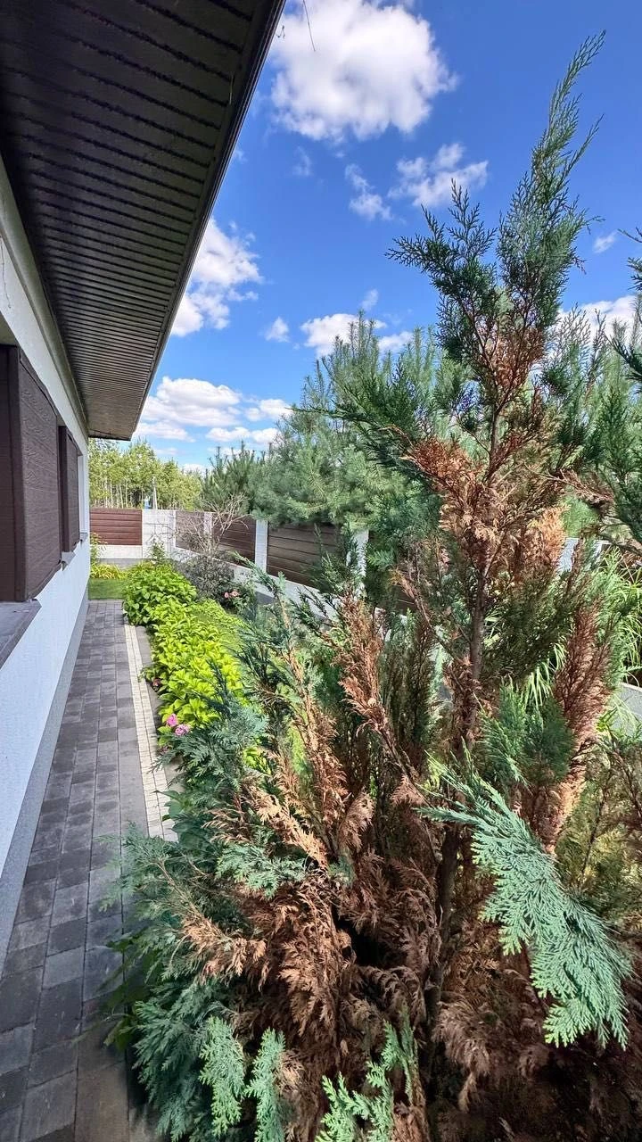 Без комісії | Будинок | Дизайнерський ремонт | Буча | 136 м²