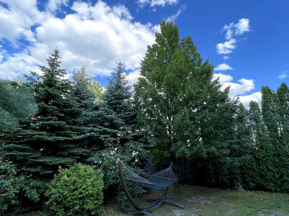 Будинок. Буча, Лесі Українки вул.