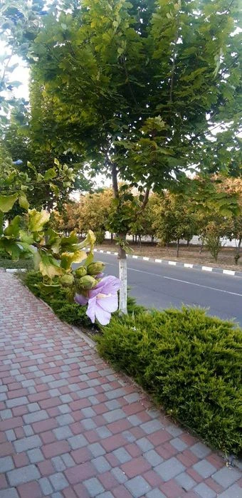 Продам участок  5 соток