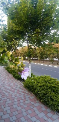 Продам участок  5 соток