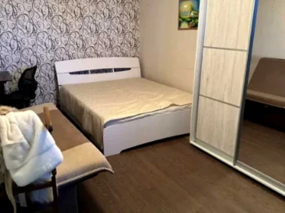Apartment. Kharkiv, Derevyanka St.