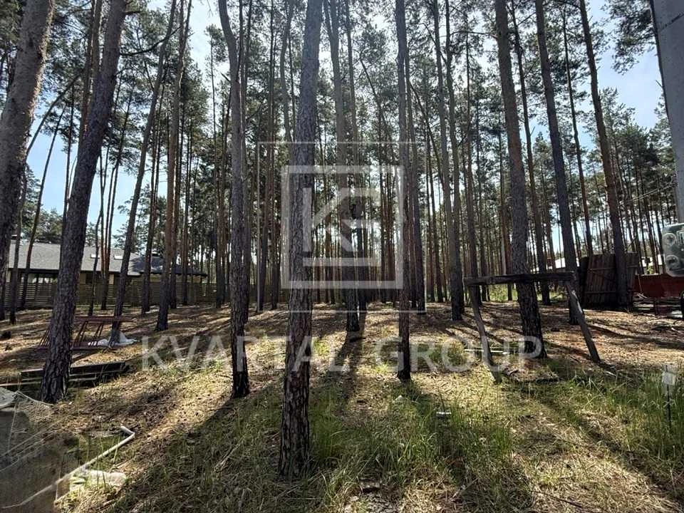 Будинок. Буча, Валерія Марчека
