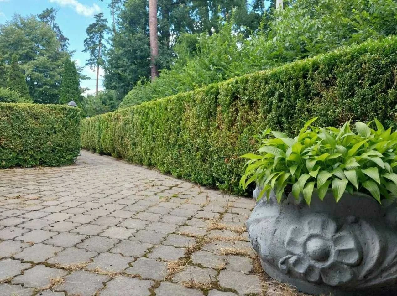 Продаж 3пов. будинку 800 м2 з ремонтом, ділянка 33 сотки. Бу