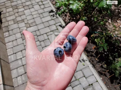 Продаж Дім
