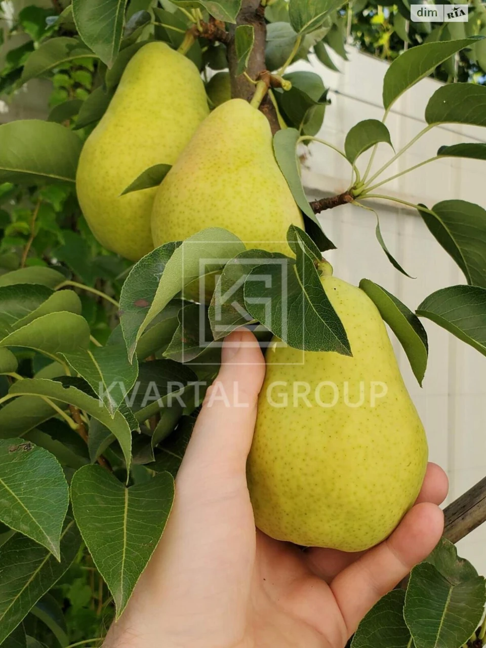 Продаж Дім